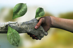 Le buone idee: il mondo ecologico