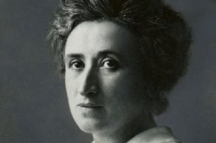 rosa rossa