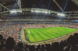 campo da calcio, stadio, tifosi