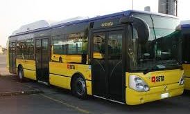 bus