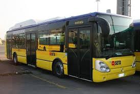 bus