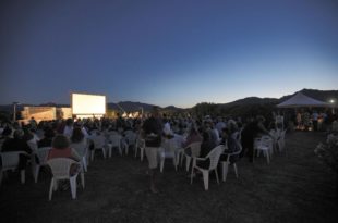 cinema, festival tavolara