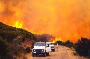 Incendio Sardegna