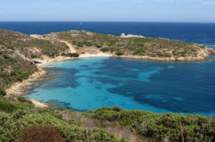 Area marina protetta dell'Asinara