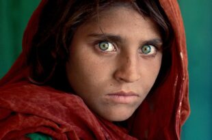 Steve McCurry