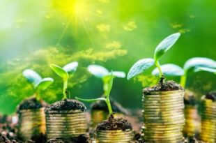 Green economy in Italia:una impresa su tre investe in sostenibilità