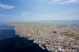 L’isola di rifiuti nel Pacifico