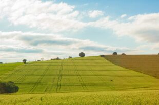 Programma di azione per l'ambiente EU 2020