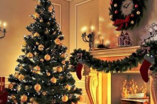 Natale: ecco i segreti per l’albero nelle prime feste anti-Covid