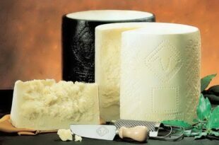 Pecorino Romano alla conquista delle tavole europee e dell'Oriente.