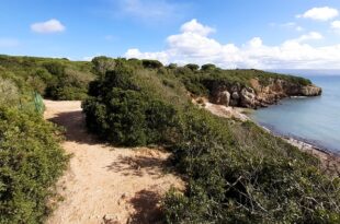 Parco Abbado ad Alghero sarà laboratorio naturalistico