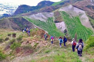 Trekking col treno 1