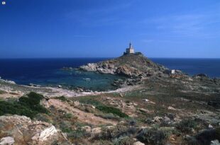 parco asinara