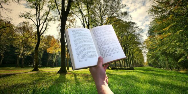 Leggere in giardino