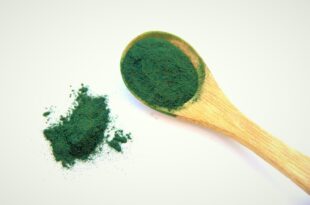 Alga Spirulina