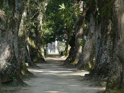 Giardino Botanico del Monte Arci - apre al pubblico