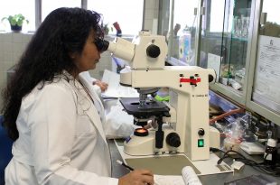 donna laboratorio artrite reumatoide