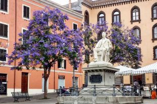 Piccola rassegna enoletteraria Racconti sul Vino in Piazza Tola in centro sotrioc a Sassari