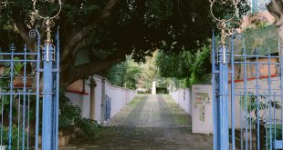 1Villa Satta giardino IED Cagliari ph stefano casati