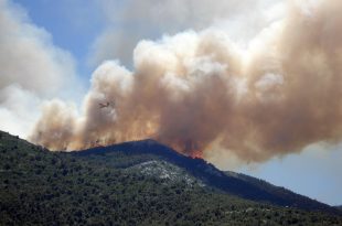 incendi boschivi