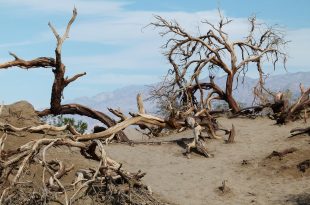 death valley g92f35494e 1920