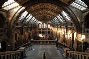 natural history museum 2203648 1920