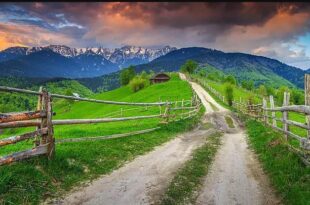 viaggi green senza costi aggiunti