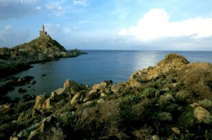 Parco Asinara