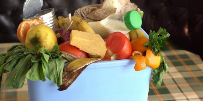 Gli sprechi alimentari Food waste unapp che ti aiuta a ridurli