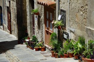 Petali in Città, a Cagliari l'evento per far fiorire la cultura green