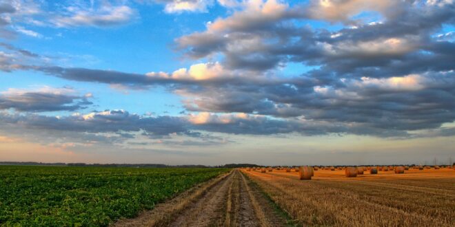 semi campi agricoltura banca