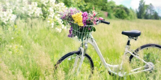 Fancy Women Bike Ride