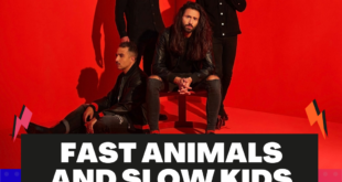 fast animals