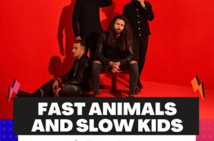 fast animals