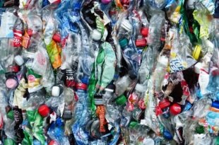 plastic bottles 115071 640