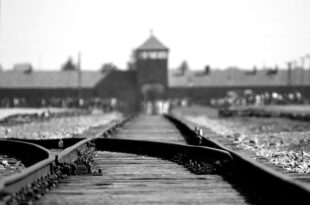 Promemoria Auschwitz