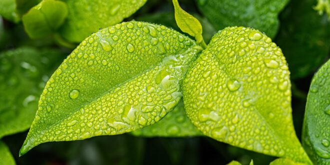 legambiente green sardegna inquinamento