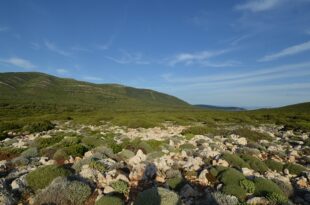 parco alghero