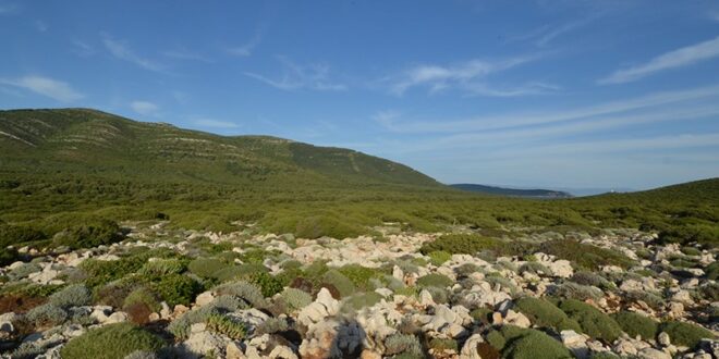 parco alghero