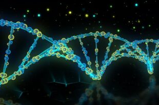 Dna scienza cromosomi artificiali