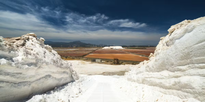 saline conti vecchi fai