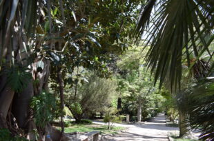 orto botanico, cagliari