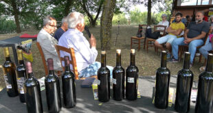 A Monteleone Roccadoria una serata di “Vino e abbinamenti a tavola”