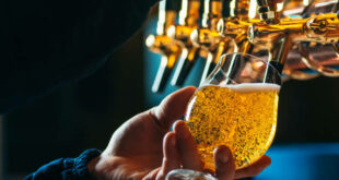 Close up of bartender pouring draft beer in glass