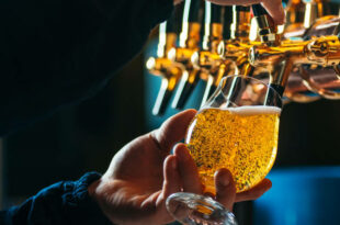 Close up of bartender pouring draft beer in glass