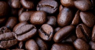 Caffè alleato microbiota malattie