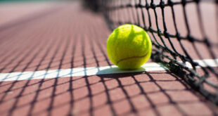 Tennis ball lying on the court.