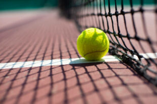 Tennis ball lying on the court.