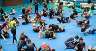 BJJ camp