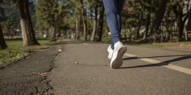 Sport e natura: domenica la Runaldia a San Teodoro